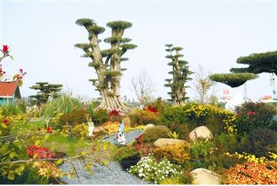 花境行業發展需培養專業人才