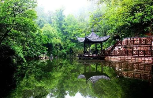 安徽敬亭山國家森林公園生態破壞現象嚴重被點名