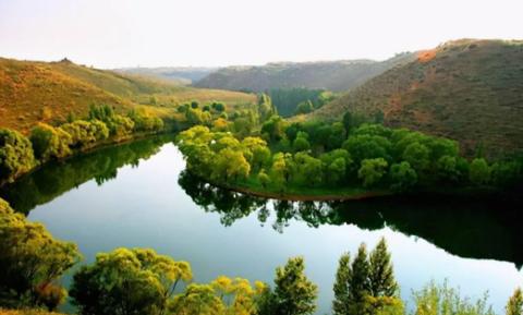 湖北園林綠化檔次提高，產(chǎn)品升級(jí)是必然，趕緊跟上這個(gè)趨勢