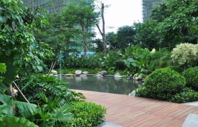 襄陽園林公司分享栽樹五大誤區(qū)，您中招了嗎？ 