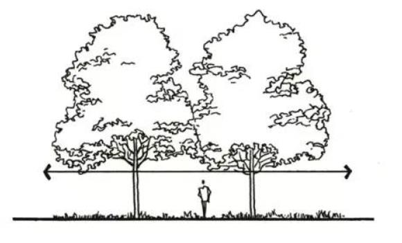 干貨 | 一文看懂，園林景觀植物設(shè)計！