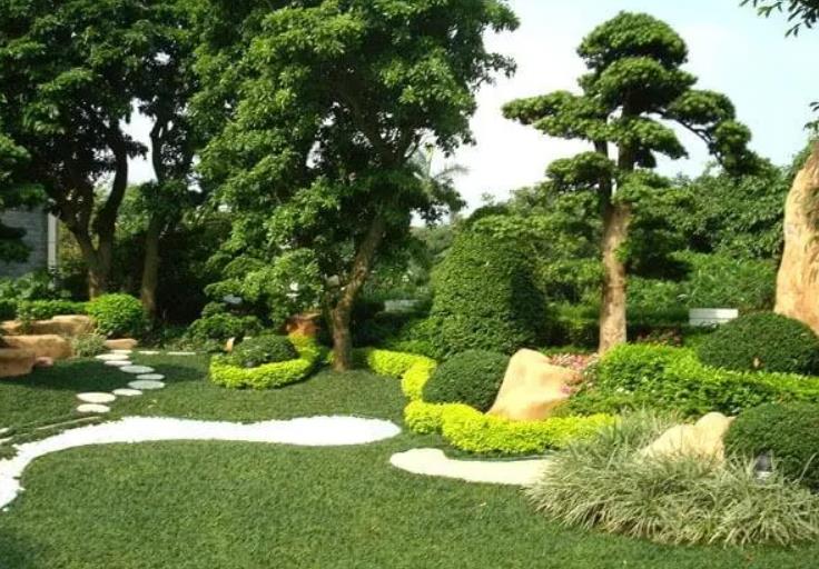 園林景觀設計之植物墻設計在哪些地方適合？